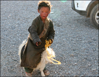 Nomad Beggar at Tourist Camp